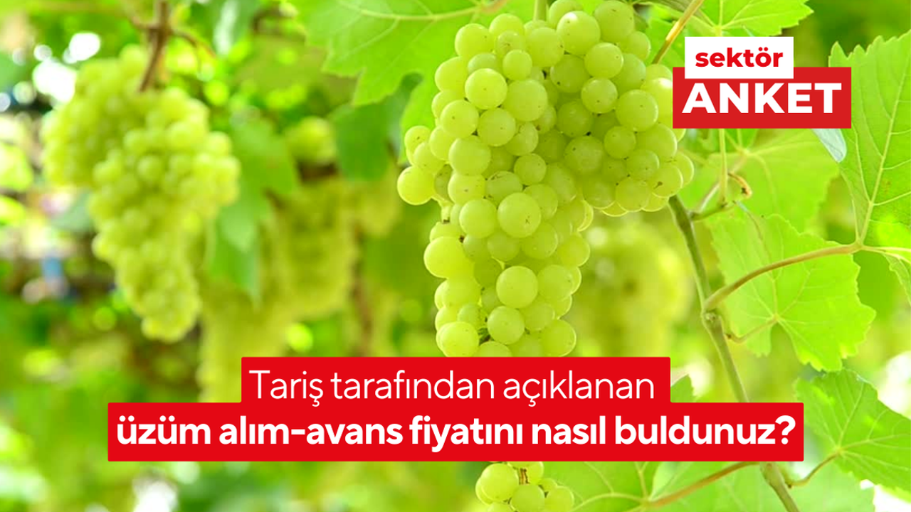 Tariş tarafından açıklanan üzüm alım-avans fiyatını nasıl buldunuz?