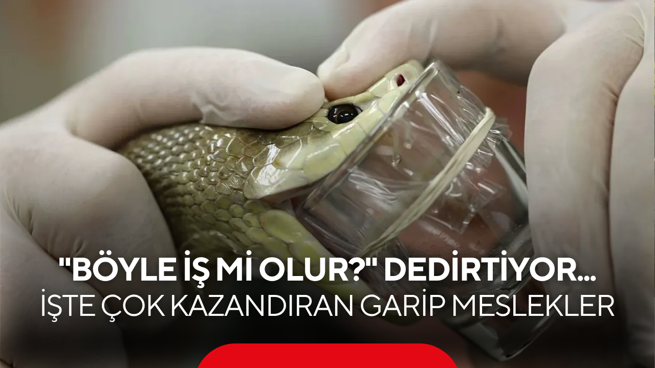 Modern dünyanın "yok artık" dedirten işleri! Bu listeyi okuyunca mesleğinizi sorgulayacaksınız