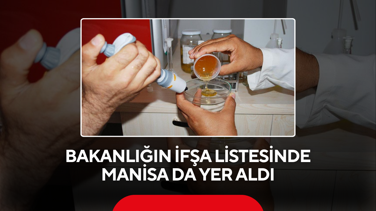 Bakanlığın ifşa listesinde Manisa da yer aldı