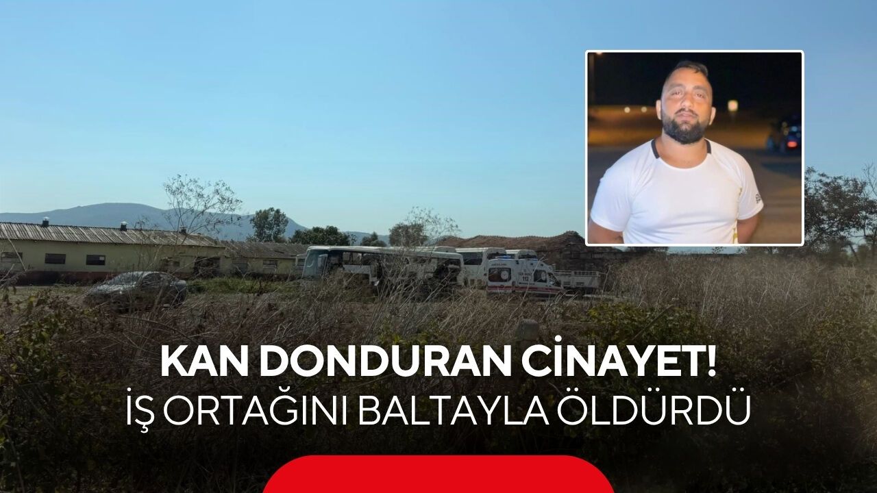 Kan donduran cinayet! İş ortağını baltayla öldürdü