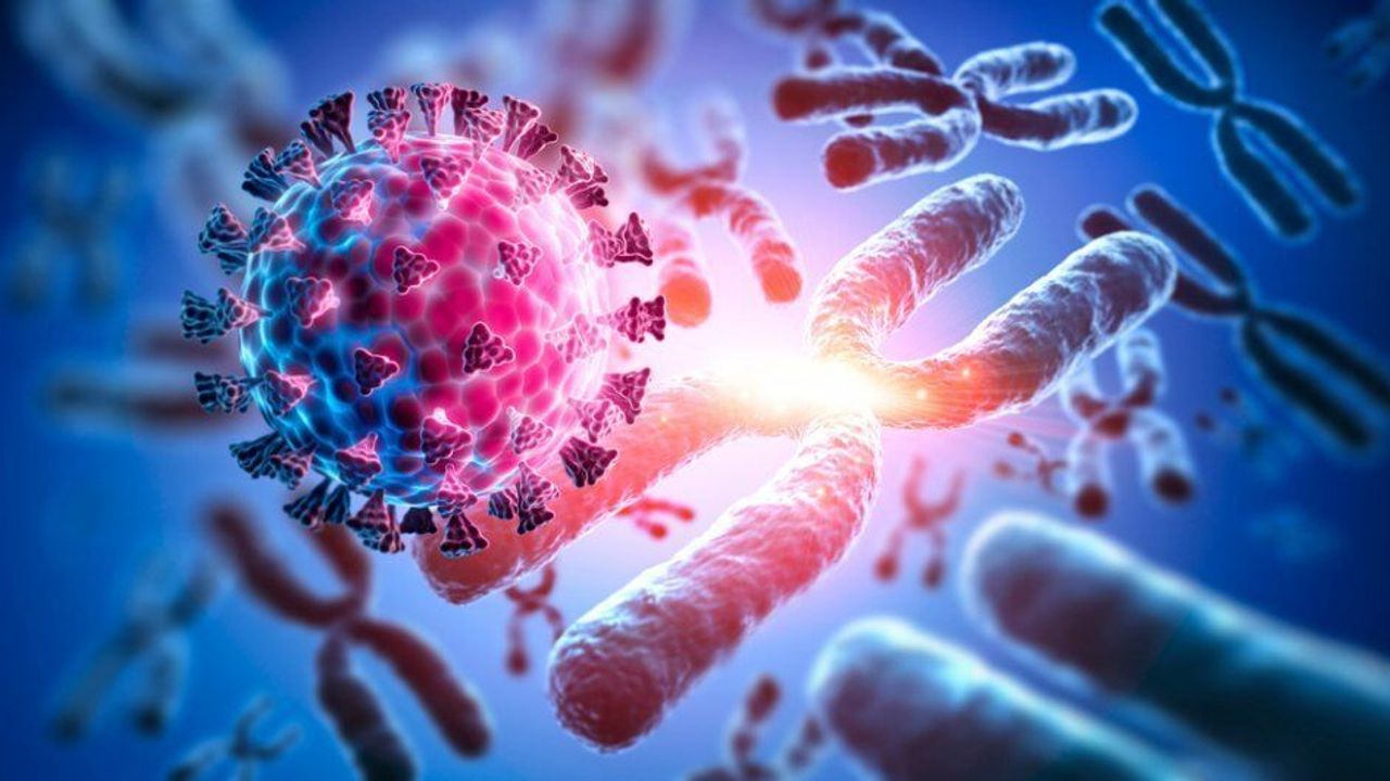 Kök hücre tedavisinde sevindirici haber! | Tedavi birçok alanda