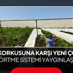 Dikkat Çeken Değişim ! Bağ Örtme Sistemi Yaygınlaşıyor