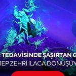 Akrebin zehri kansere umut oluyor! 5 bin akreple dev biyoteknoloji hamlesi...