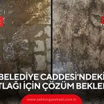 Belediye Caddesi'ndeki su patlağı için çözüm bekleniyor