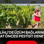 Salihli’de üzüm bağlarında hasat öncesi pestisit denetimi