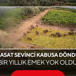 Bir yıllık emek dakikalar içinde yok oldu