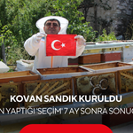 Kovan sandık kuruldu: Arıların yaptığı 'seçim' 7 ay sonra sonuçlandı!
