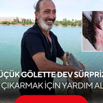 Küçük gölette dev sürpriz! Oltasına takılan balığı görünce gözlerine inanamadı