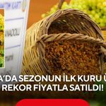 Manisa'da İlk kuru üzüm 4 bin TL'den satıldı, üretici asıl fiyatı bekliyor