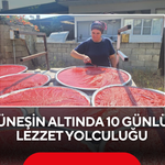 Güneşin Altında 10 Günlük Lezzet Yolculuğu