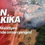 Son Dakika! Salihli Allahdiyen mevkiinde orman yangını!