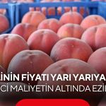 Şeftalinin fiyatı yarı yarıya düştü! Üretici maliyetin altında eziliyor