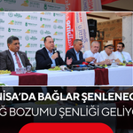 Manisa’da bağlar şenlenecek! Bağ bozumu şenliği geliyor