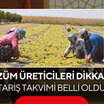 Üzüm Üreticileri Dikkat! TARİŞ Takvimi Belli Oldu