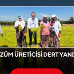 Üzüm üreticisi dert yandı