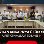 Manisa’dan Ankara’ya üzüm mesajı… ‘Üretici mağdur edilmesin’