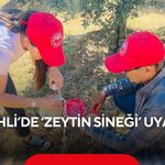 Salihli’de ‘zeytin sineği’ uyarısı
