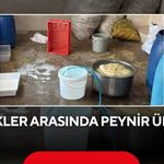 Böcekler arasında peynir üretimi: İşletme sahibi duvardan atlayıp kaçtı, 396 bin TL ceza kesildi