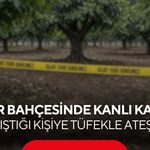 İncir bahçesinde kanlı kavga: Tartıştığı kişiye tüfekle ateş etti