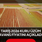 TARİŞ kuru üzüm fiyatını açıkladı! İşte 2026 sezonunun avans fiyatı
