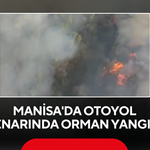 Manisa'da otoyol kenarında orman yangını