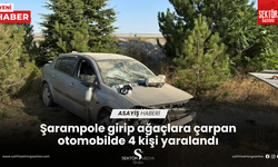 Şarampole girip ağaçlara çarpan otomobilde 4 kişi yaralandı