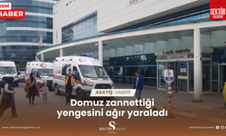 Domuz zannettiği yengesini ağır yaraladı