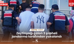 Zeytinyağı çalan 3 şüpheli jandarma tarafından yakalandı