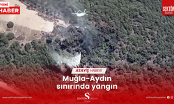 Muğla-Aydın sınırında yangın