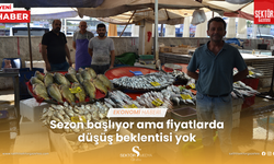 Sezon başlıyor ama fiyatlarda düşüş beklentisi yok