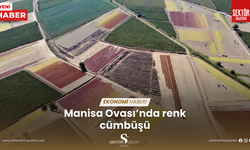 Manisa Ovası’nda renk cümbüşü