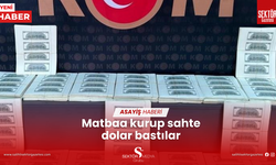 Matbaa kurup sahte dolar bastılar