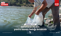 Göletlere 30 bin  yavru sazan balığı bırakıldı