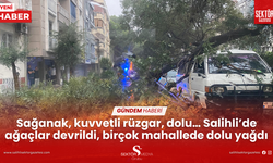 Sağanak, kuvvetli rüzgar, dolu… Salihli’de ağaçlar devrildi, birçok mahallede dolu yağdı