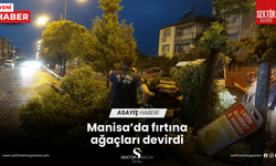 Manisa’da fırtına ağaçları devirdi