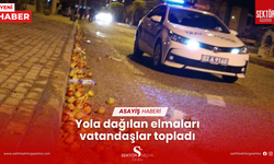 Yola dağılan elmaları vatandaşlar topladı