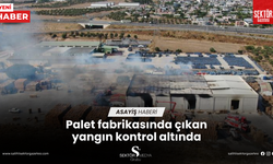 Palet fabrikasında çıkan yangın kontrol altında