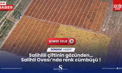 Salihlili çiftinin gözünden… Salihli Ovası’nda renk cümbüşü !