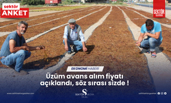 Üzüm avans alım fiyatı açıklandı, söz sırası sizde !