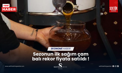 Sezonun ilk sağım çam balı rekor fiyata satıldı !