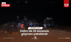 Didim'de 29 düzensiz göçmen yakalandı