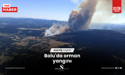 Bolu'da orman yangını