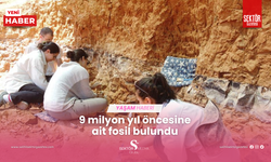 9 milyon yıl öncesine ait fosil bulundu