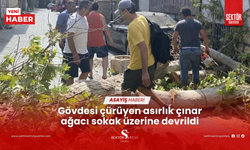 Gövdesi çürüyen asırlık çınar ağacı sokak üzerine devrildi