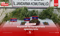 Kuyucak'ta uyuşturucu operasyonu