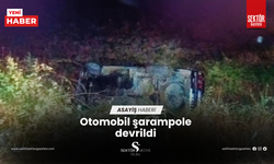 Otomobil şarampole devrildi