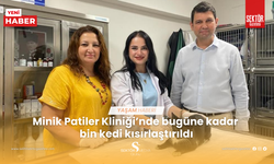 Minik Patiler Kliniğinde bugüne kadar  bin kedi kısırlaştırıldı