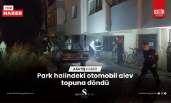 Park halindeki otomobil alev topuna döndü