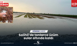 Salihli’de tonlarca üzüm sular altında kaldı