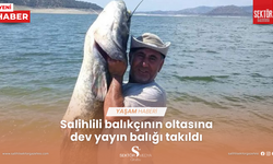 Salihlili balıkçının oltasına dev yayın balığı takıldı